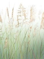 Papel pintado con flores de campos de trigo verde