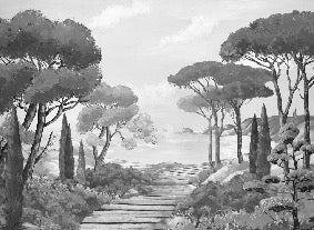 Papel pintado Walk in the creeks, blanco y negro