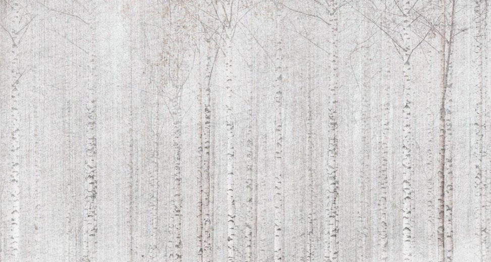 Papier peint forêt de bouleaux enveloppante, XXL, tendance
