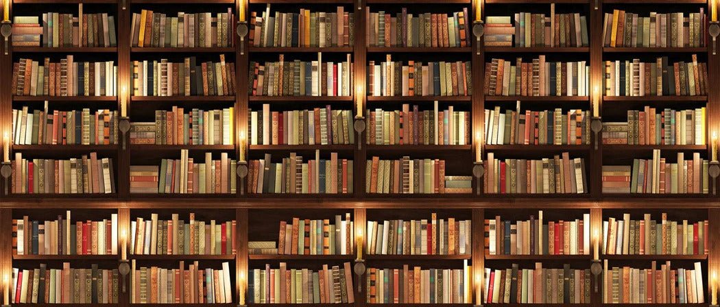 Papel pintado trampantojo Authentique Bibliothèque