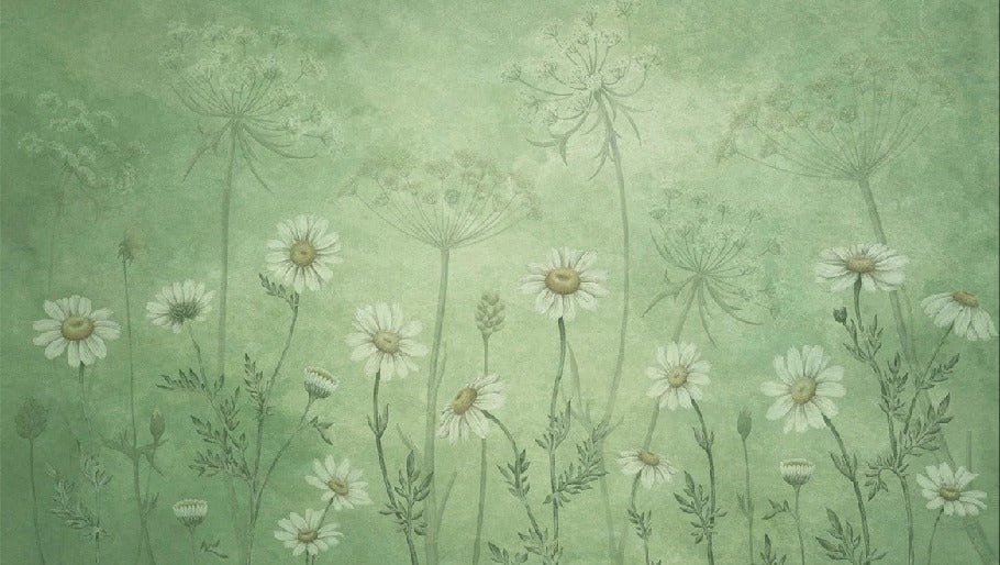 Papel pintado margaritas silvestres