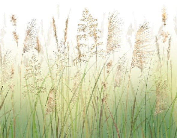 Papier peint fleur des champs de blé dégradé, XXL, tendance