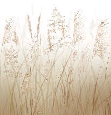 Papel pintado con flores de campos de trigo