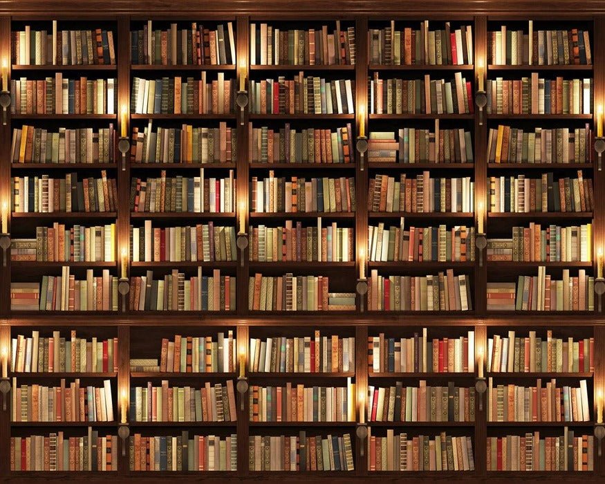Papel pintado trampantojo Authentique Bibliothèque
