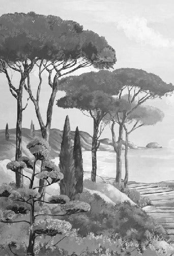 Papel pintado Walk in the creeks, blanco y negro