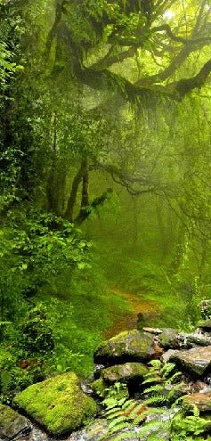 Papel pintado Cascada y bosque