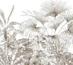 Papier peint tropical gravure monochrome, XXL, tendance