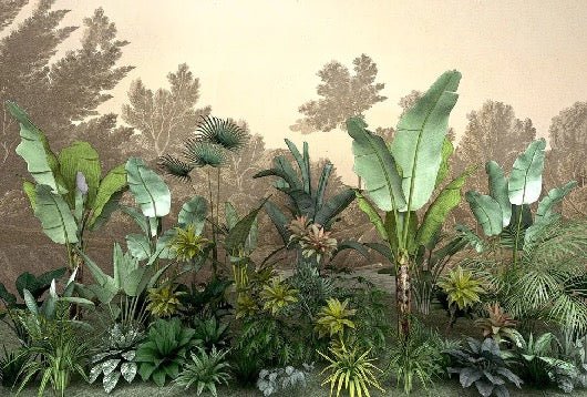 Papel pintado Selva indonesia