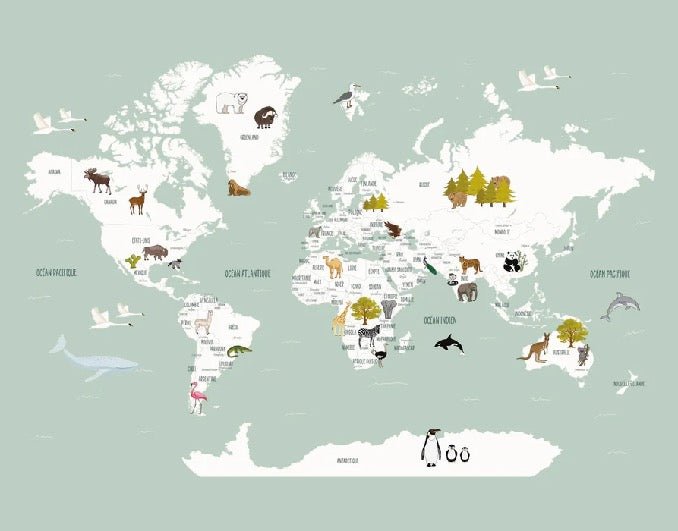 Papel pintado Mapa del mundo en francés para niños verde