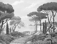 Papel pintado Walk in the creeks, blanco y negro