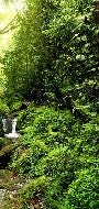 Papel pintado Cascada y bosque