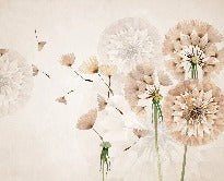 Papier peint fleur pissenlit, XXL, tendance