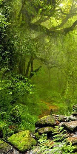 Papel pintado Cascada y bosque