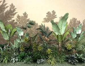 Papel pintado Selva indonesia