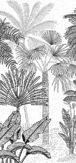 Papier peint toilette jungle cocotier tendance gravure, XXL, tendance