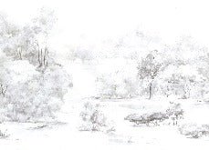 Papier peint forêt de pin aquarelle, XXL, tendance
