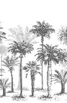 Papel pintado Jungla en blanco y negro