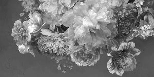 Papier peint fleur pivoine noir et blanc, XXL, tendance