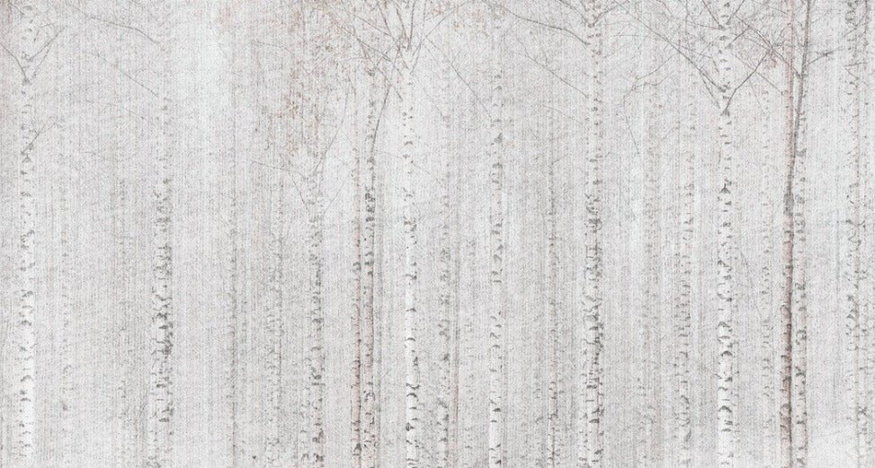 Papier peint forêt de bouleaux enveloppante, XXL, tendance
