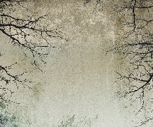 Papier peint Forêt Enchantée, XXL, tendance