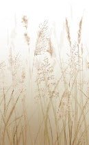 Papier peint toilette fleur des champs de blé beige, XXL, tendance