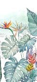Papel pintado Végétal & Bird Prestige
