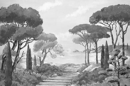 Papel pintado Walk in the creeks, blanco y negro