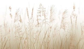 Papel pintado con flores de campos de trigo