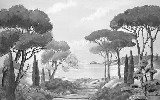 Papel pintado Walk in the creeks, blanco y negro