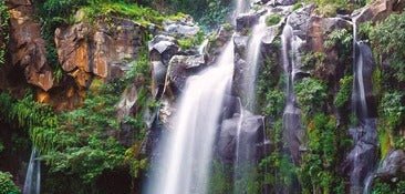 Papel pintado Reunión cascada