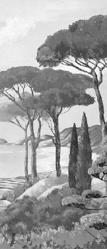 Papel pintado Walk in the creeks, blanco y negro