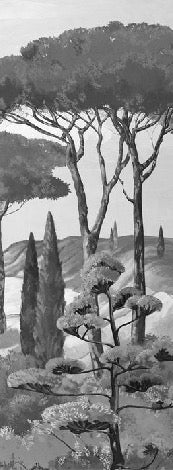 Papel pintado Walk in the creeks, blanco y negro