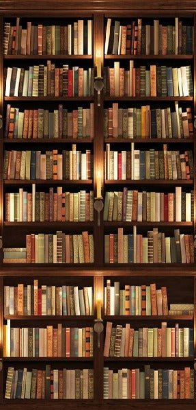 Papel pintado trampantojo Authentique Bibliothèque