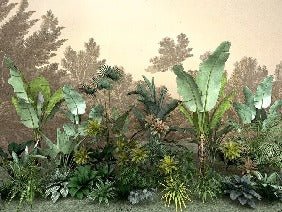 Papel pintado Selva indonesia