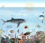 Papel pintado de Animales marinos
