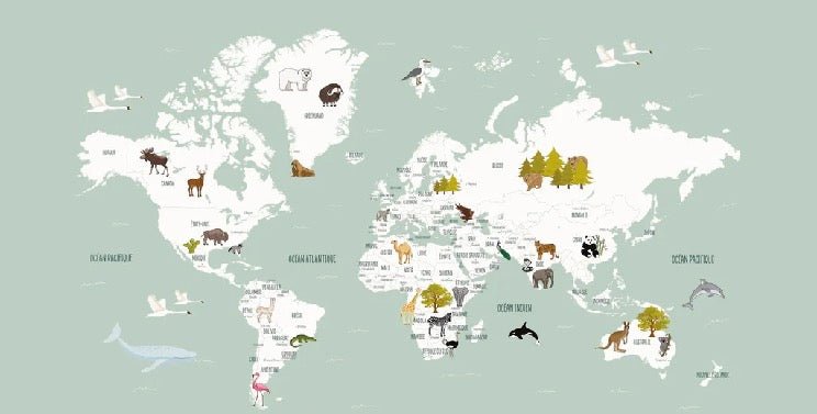 Papel pintado Mapa del mundo en francés para niños verde