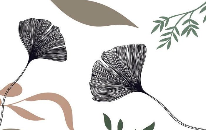 Papel pintado Floral artista ginkgo