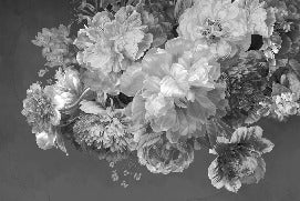 Papier peint fleur pivoine noir et blanc, XXL, tendance