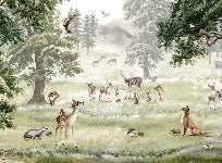 Papel pintado infantil animales y mascotas