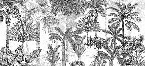 Papel pintado de moda en la jungla de coco