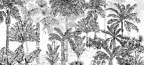 Papel pintado de moda en la jungla de coco