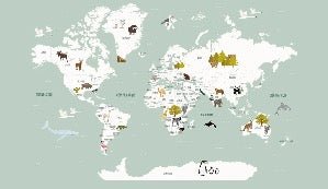 Papel pintado infantil mapamundi francés verde