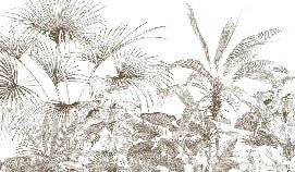 Papel pintado grabado monocromo tropical