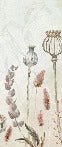 Papier peint automne des fleurs, mural concept, tendance