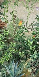 Papel pintado de Jungle Parrot