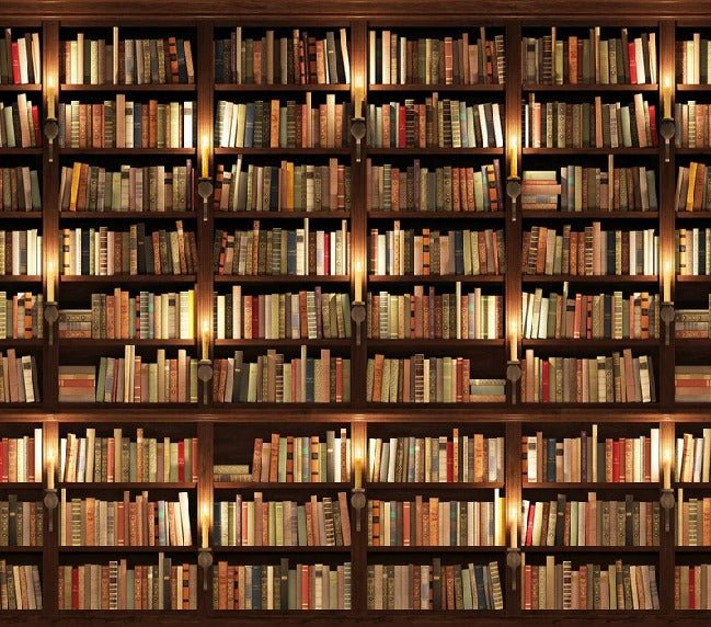 Papel pintado trampantojo Authentique Bibliothèque