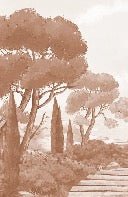 Papel pintado «Paseo por las calas» terracota