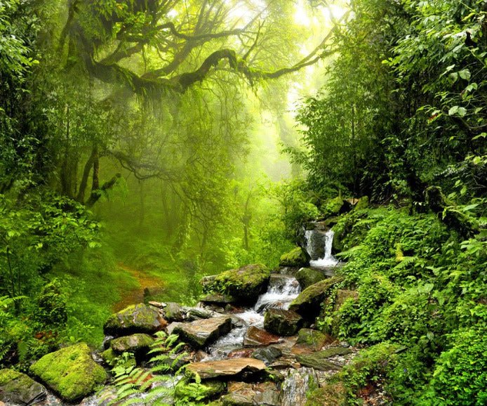 Papel pintado Cascada y bosque