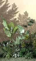 Papier peint toilette Jungle tendance indonésia, XXL, tendance