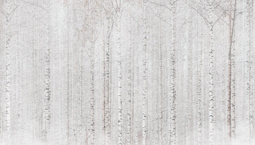 Papier peint forêt de bouleaux enveloppante, XXL, tendance